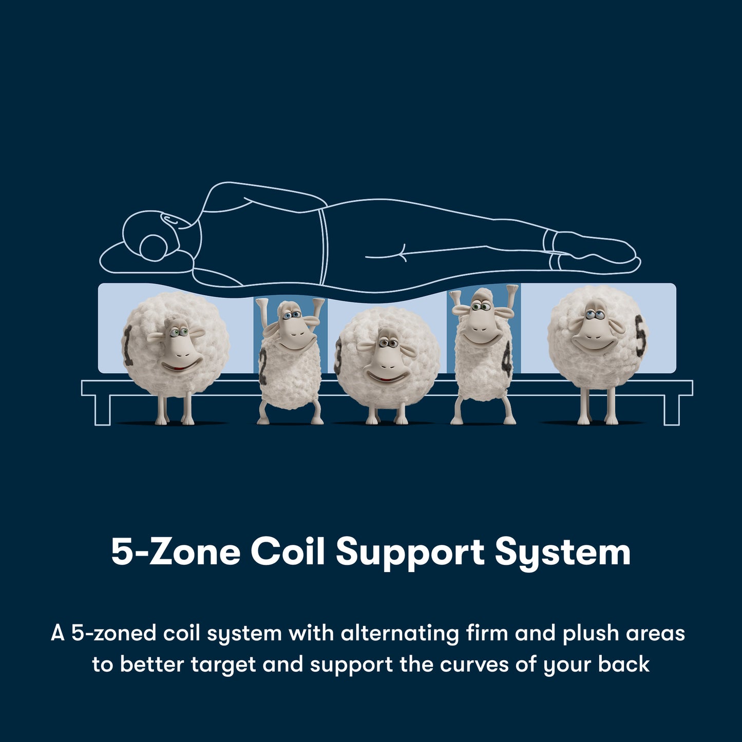 Illustration of a 5-Zone Coil Support System with cartoon sheep on a blue background
