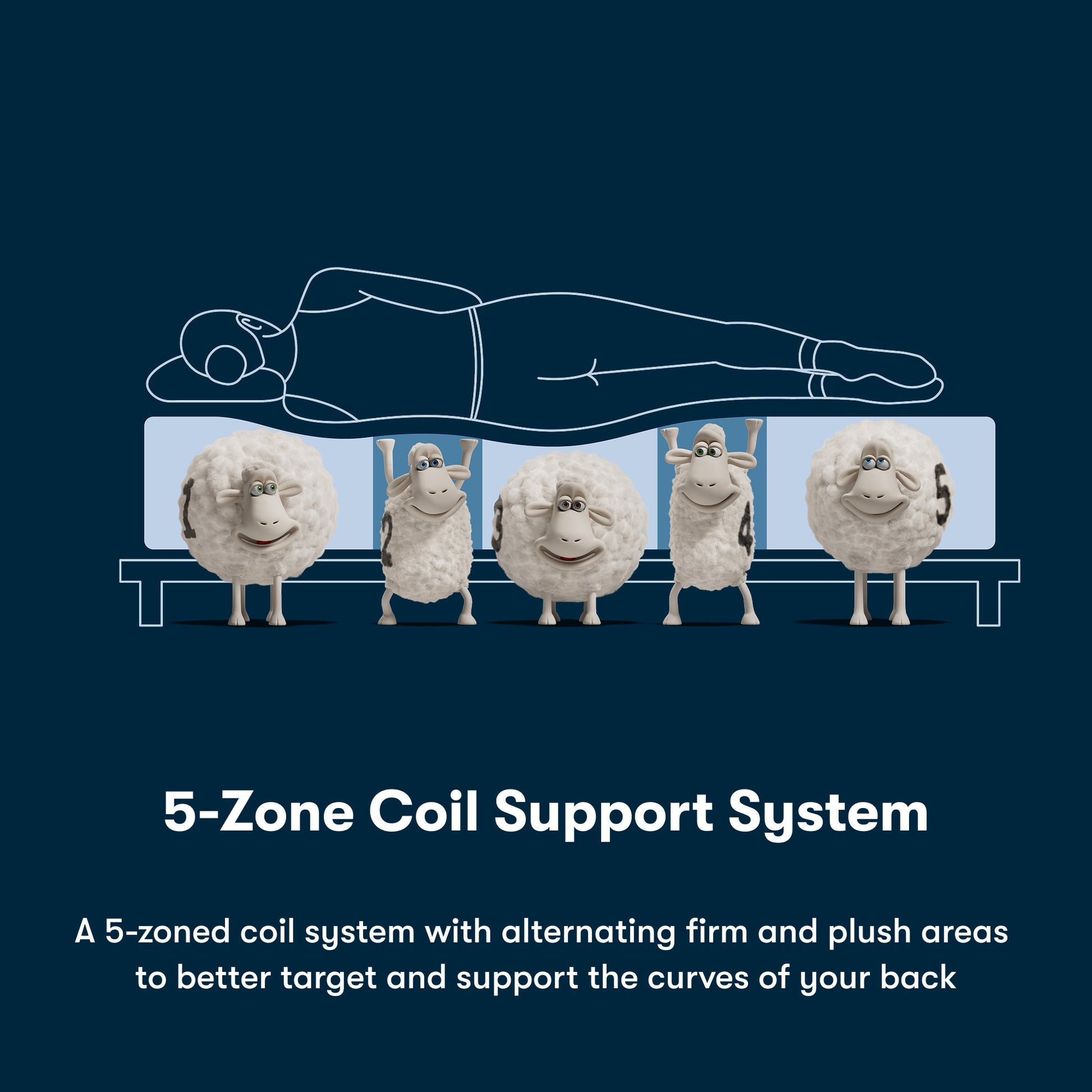 Illustration of a 5-Zone Coil Support System with cartoon sheep on a blue background
