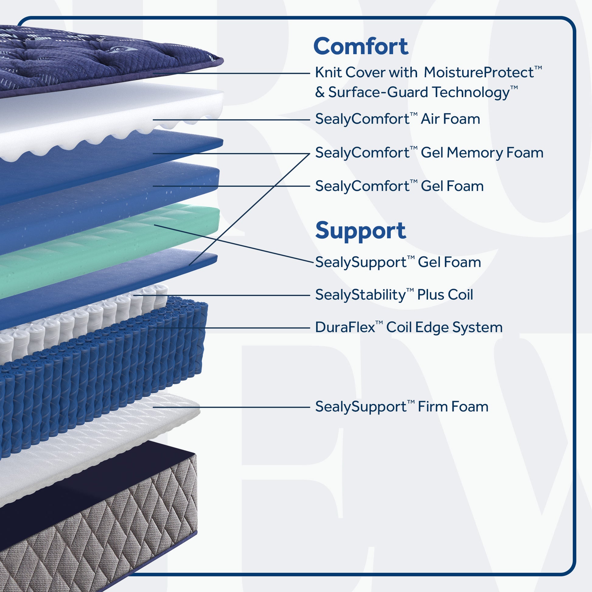 Crown Jewel by Sealy® Grand Jewel Medium Tight Top Spring 14.5" – Cutaway View